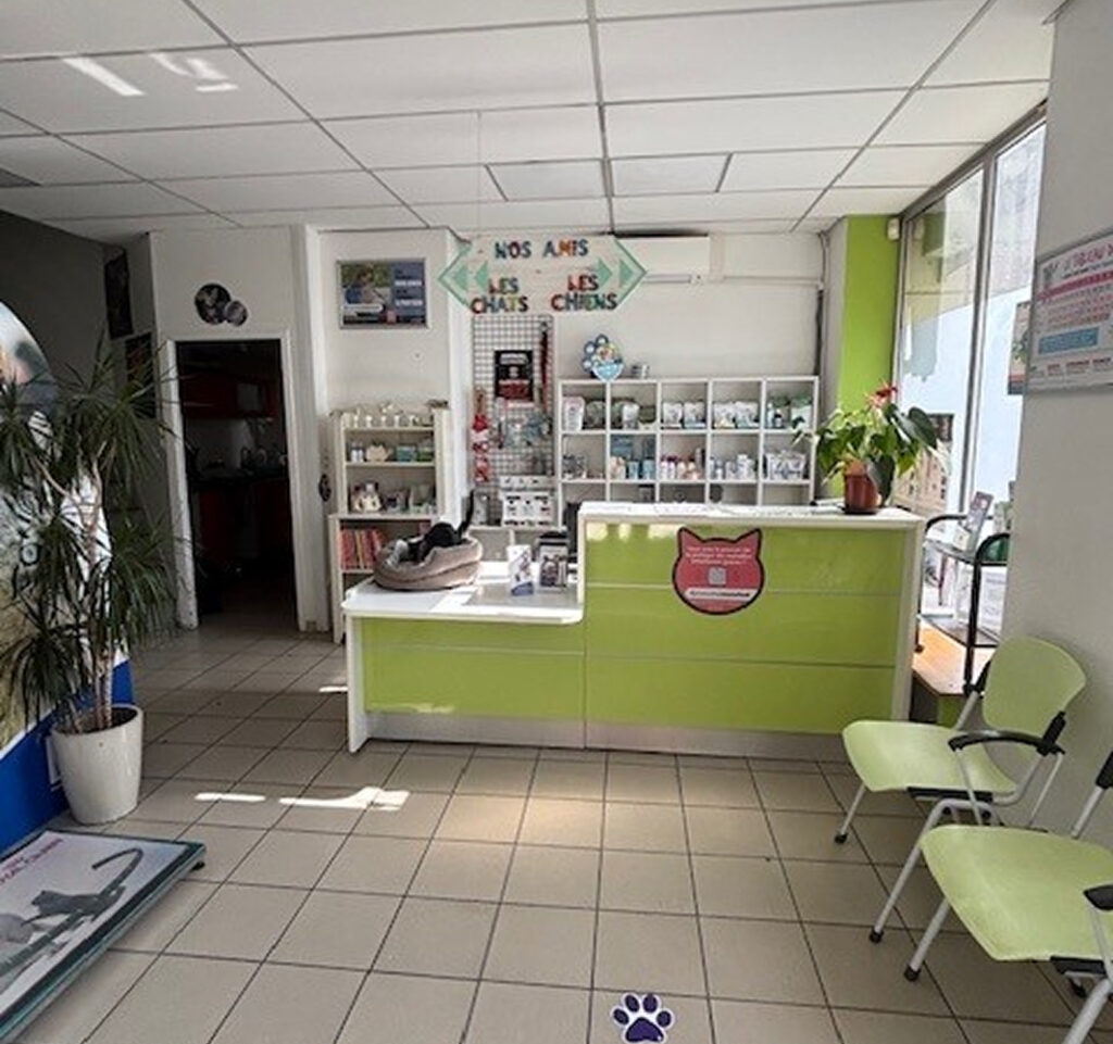 Accueil Veterinaire Colomiers Accueil Veterinaire Colomiers