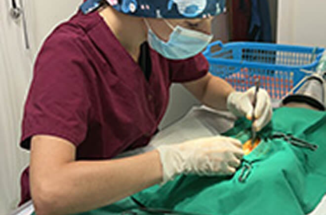 PC-Chirurgie-et-hospitalisation Chirurgie et hospitalisation